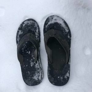 Meet your Posher, Bill